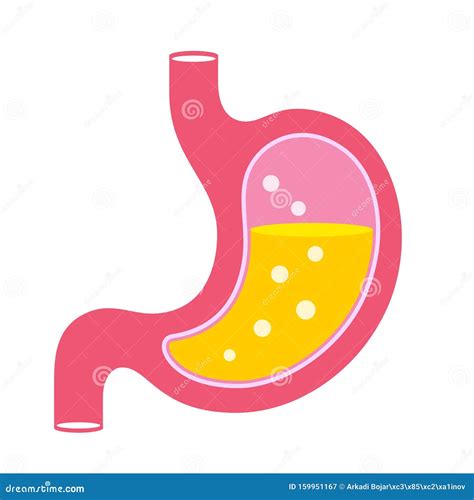 Stomach Acid Vector Cartoon Stock Vector - Illustration of good ...