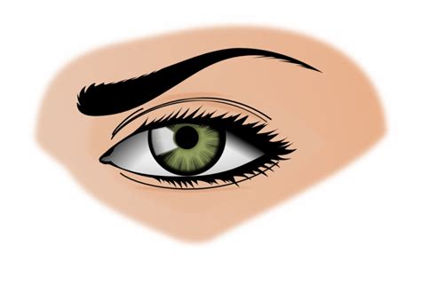 Eyeball Clipart Png Realistic Eye Clipart Png - Clip Art Library