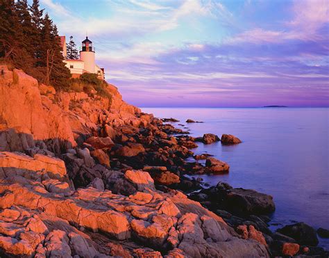 Bass Harbor Lighthouse Maine P by Ron thomas