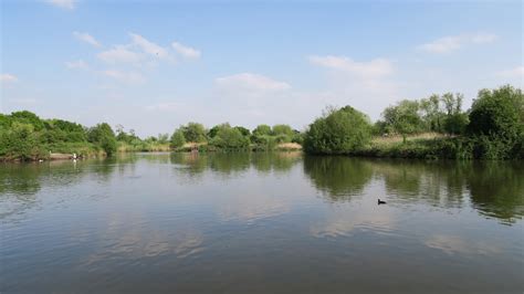 South Norwood Country Park, a wild urban gem