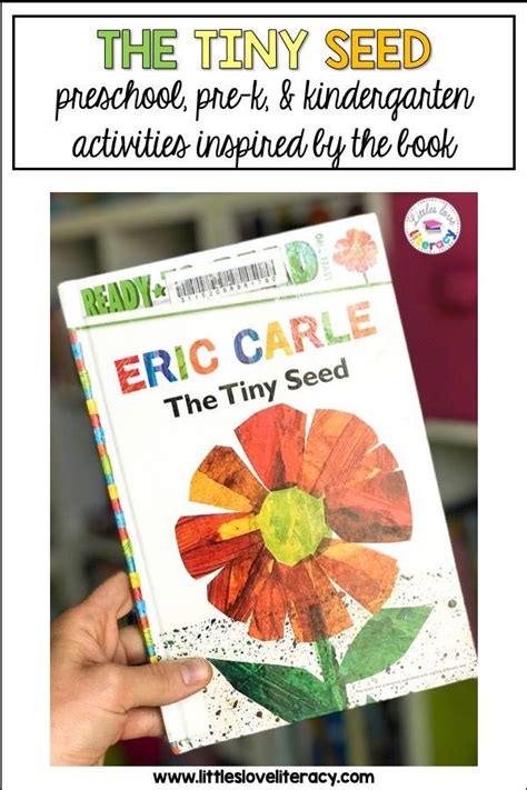 The Tiny Seed Activities for Preschool and Kindergarten + FREEBIE | Seed activities for ...