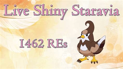 [LIVE] Shiny Staravia in Pearl after 1462 REs! - YouTube