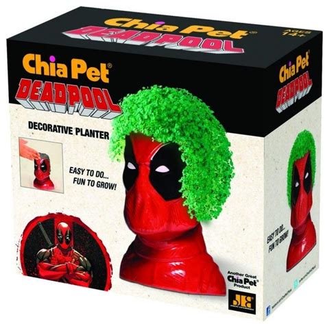 Chia Pet Planter