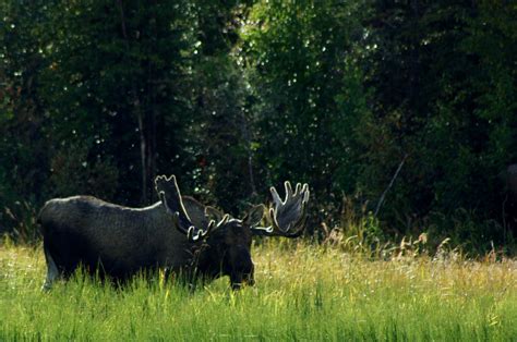 Gallery | Yukon Wilderness Adventures