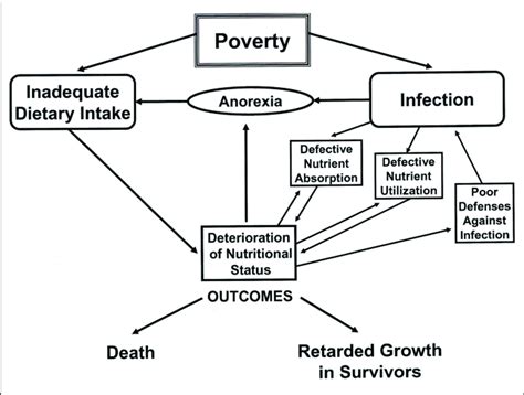 | A diagram illustrating the cascade of effects of poverty, such as ...