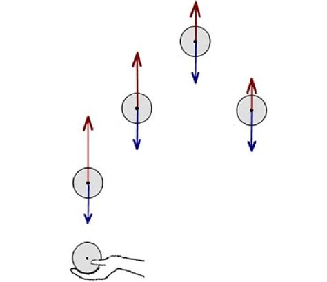 Galileo's model of the vertical ball toss (based on de Motu). The... | Download Scientific Diagram