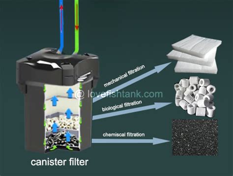 Best Canister Filters For Efficiency & Less Maintenance – Love Fish Tank