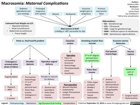 Macrosomia: Maternal Complications | Calgary Guide