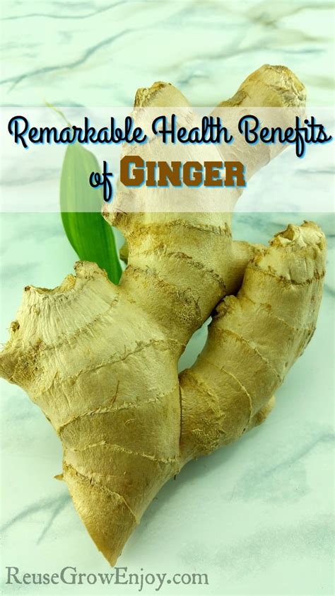 Remarkable Health Benefits of Ginger - Reuse Grow Enjoy