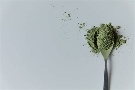 Celery Powder: What Is It and Why It's So Popular - Superb Salt