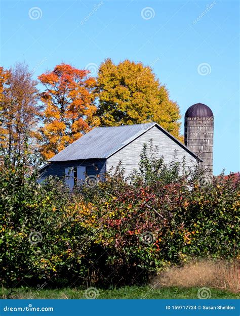 Old barn with fall color stock photo. Image of autumn - 159717724