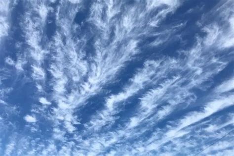 Cirrus clouds: overview and weather prediction