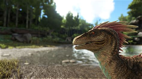 Raptor - ARK Forum - Deutsches ARK Survival Evolved Forum