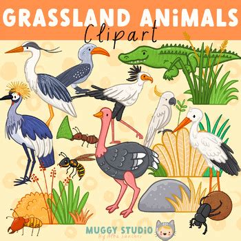 Grassland Animals Birds, Reptiles, Insects Clipart by Muggy Studio