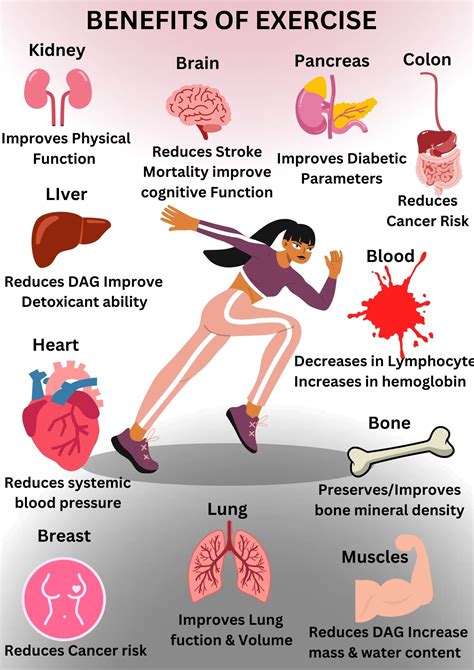 Understanding the Science of How Exercise Impacts the Body on a Medical Level - TheDailyGuardian