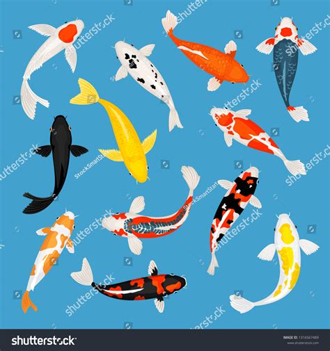 Koi Fish Koi Carp Fishes Vector Stock Vector (Royalty Free) 1316567489 | Shutterstock