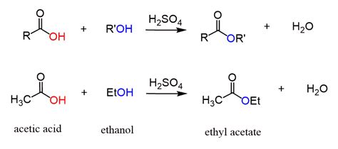 Fischer Esterification - Chemistry Steps