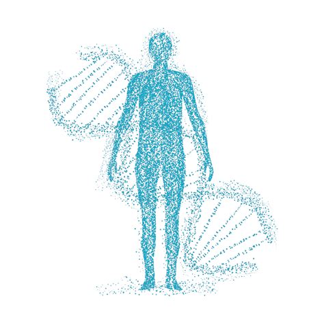 Dna Genetic PNG Transparent, Dna Human Genetic Photos, Photo Clipart ...