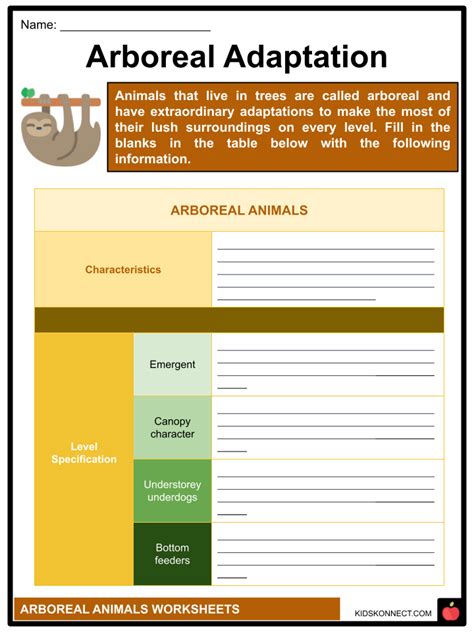 Arboreal Animals Worksheets | Biomechanics, Adaptation, Types