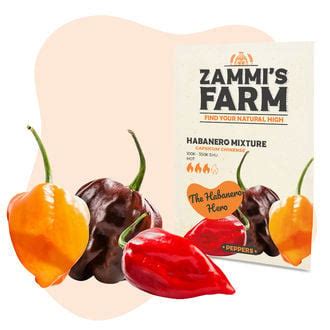 Habanero Mixture Seeds - Zamnesia