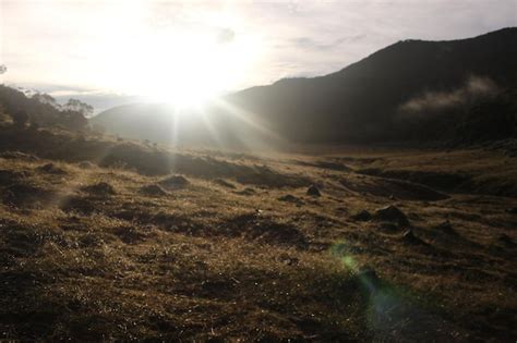 Premium Photo | Sunrise over the mountain range at the mountain gede pangrango indonesia