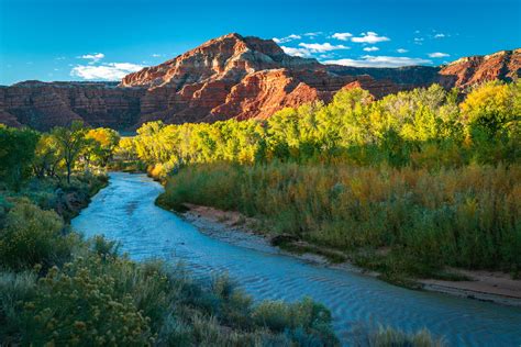 Peak Zion NP Autumn Colors! Zion National Park Fall Foliag… | Flickr