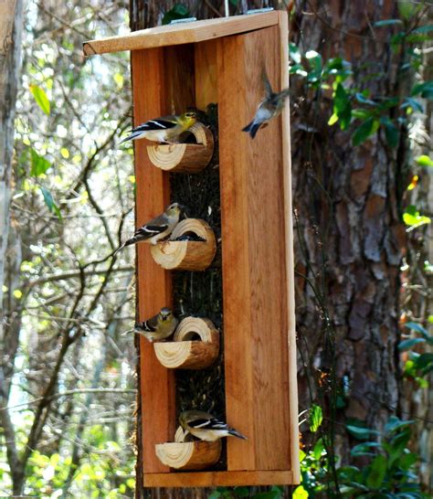 Easy Bird Feeders Diy