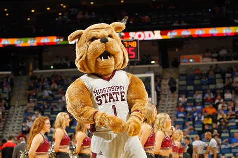 Mississippi State Mascot Injured After Being Run Over