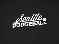 Portable dodgeball court - The Awesome Foundation