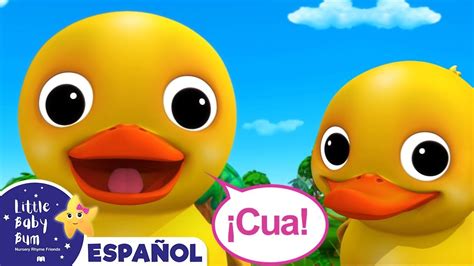 Patitos Cua Cua Cua Letra - Margaret Wiegel