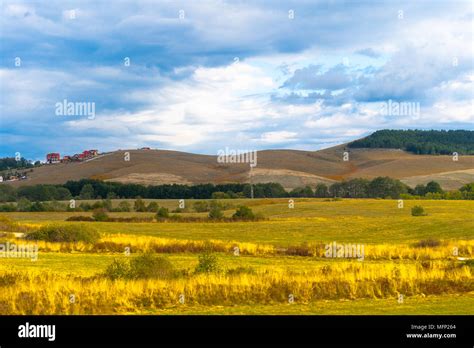 Nature in Serbia, Europe Stock Photo - Alamy