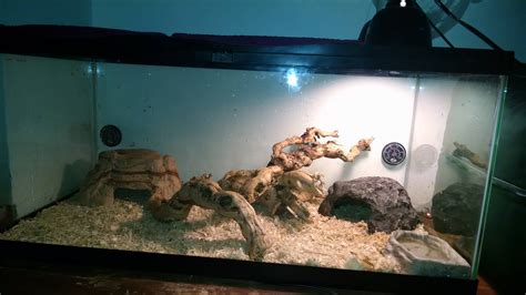 Setting up my new ball python enclosure, how does it look? (Questions ...