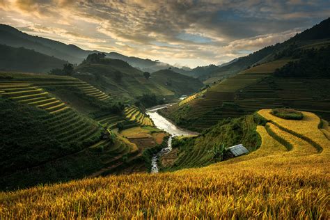 Rice terrace (Mu cang chai , vietnam) by Sarawut Intarob / 500px