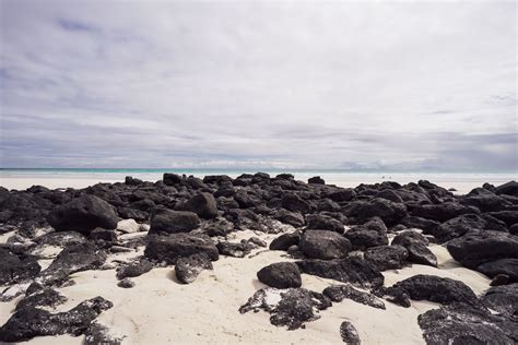 VISITING SANTA CRUZ: Wildlife in Galápagos’s Tourism Hub — Conservation ...