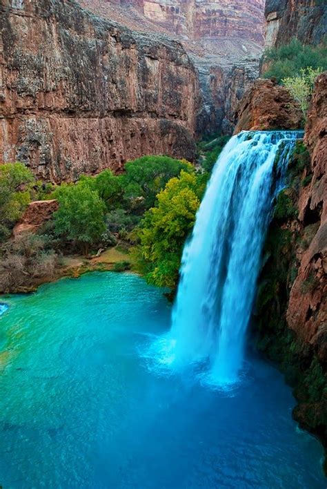 Havasu creek, Havasu falls, Jungle scene