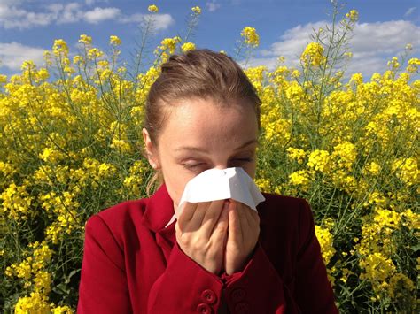 Pollen allergy season: Ways to prepare yourself and your home this Spring - IBTimes India