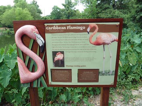 Dallas Zoo Signage and Exhibits