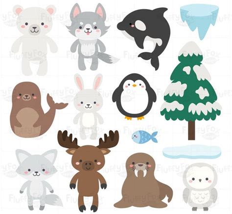 Arctic Animals Clipart Antartica Animal Clip Art Wild Winter - Etsy | Wild animals vector ...