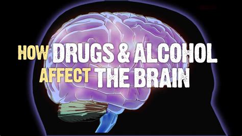 How Drugs and Alcohol Affect the Brain | Ventura Recovery