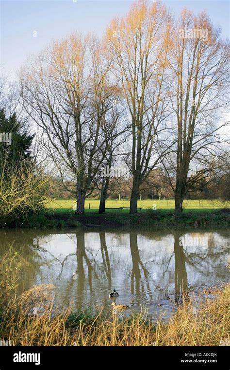 river avon warwick warwickshire england uk Stock Photo - Alamy