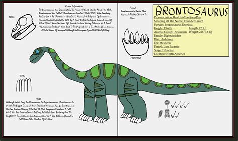 Dinatheen P-Animal Info Ref: Brontosaurus by Tyrannosaurus90s on DeviantArt