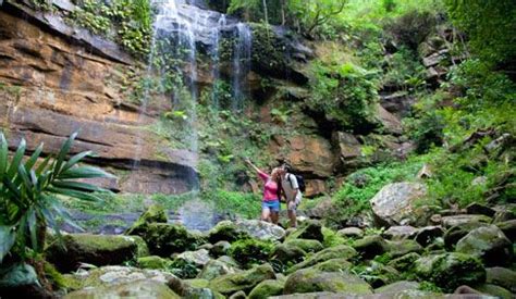 Walking Trails in Lake Macquarie | Walking trails, Macquarie island, Lake