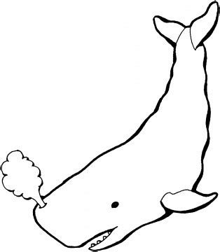 Whale Outline coloring page | Super Coloring - ClipArt Best - ClipArt Best