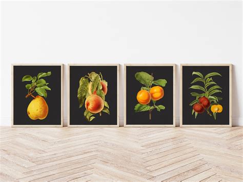 Vintage Fruit Art Prints Set of 4 Fruit Prints Home Decor | Etsy