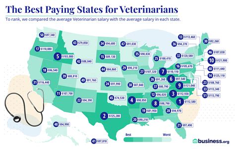 The Best-paying States for Veterinarians in 2021 | Business.org