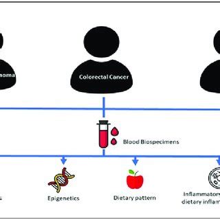 Simplified Diagram of Study Design | Download Scientific Diagram