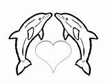 48 Dolphin Coloring Pages For Kids Free PDF Printables sketch template