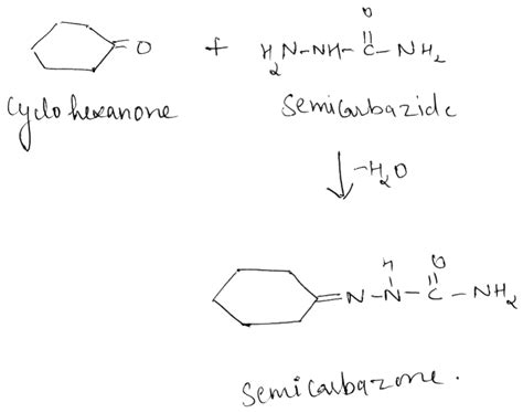 19 Write the reaction and name of product formed when cyclohexanone reacts with semicarbazide