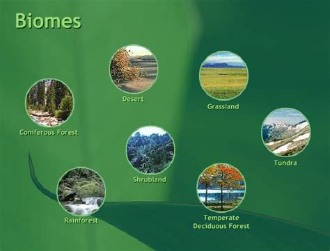 seven types of biomes (With images) | Learning sites, Biomes, Interactive learning