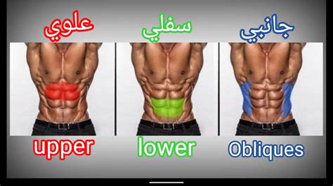 تمارين معدة وشد البطن/ لجميع أجزاء المعدة- في المنزل - جميع المستويات 9 ABS workouts at home ...